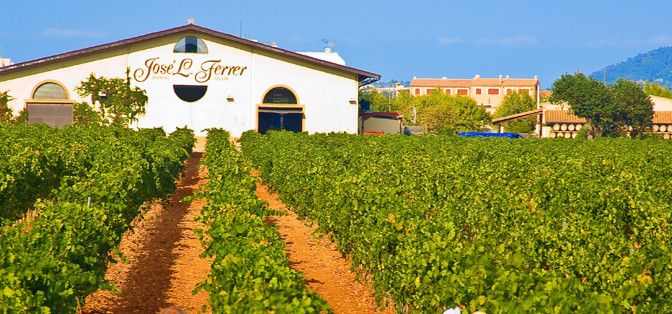 Besök vingård på Mallorca